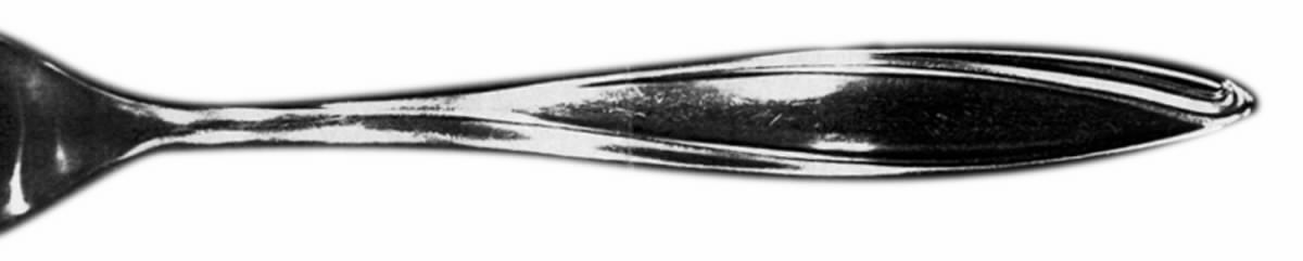 DLI16 (STAINLESS) Fork by Dalia-1