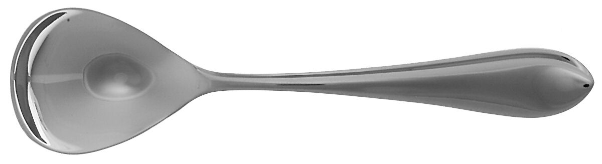 Salerno (Stainless) Sugar Spoon by Dansk-1
