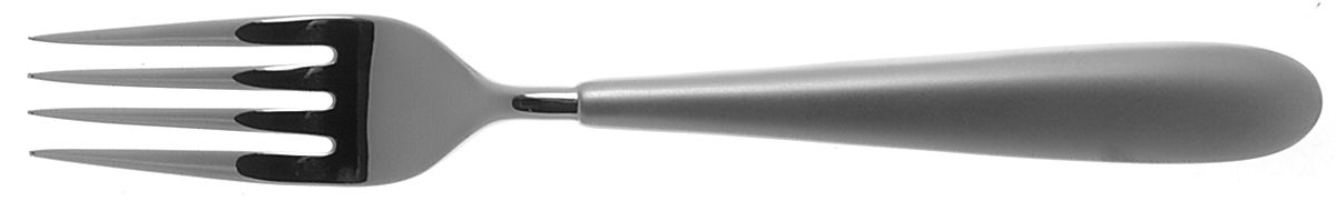 Curve Matte (Stainless) Individual Salad Fork by Denby-1