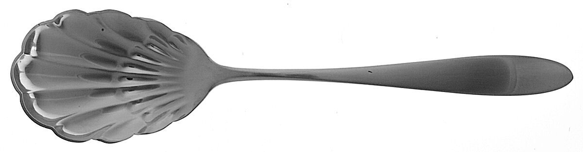 French Antique (Sterling, 1910) Sugar Shell Spoon by Dominick & Haff-1