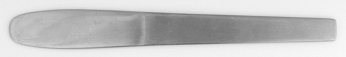 Picasso (Stainless, Glossy) Flat Handle Butter Spreader by Dalia-1