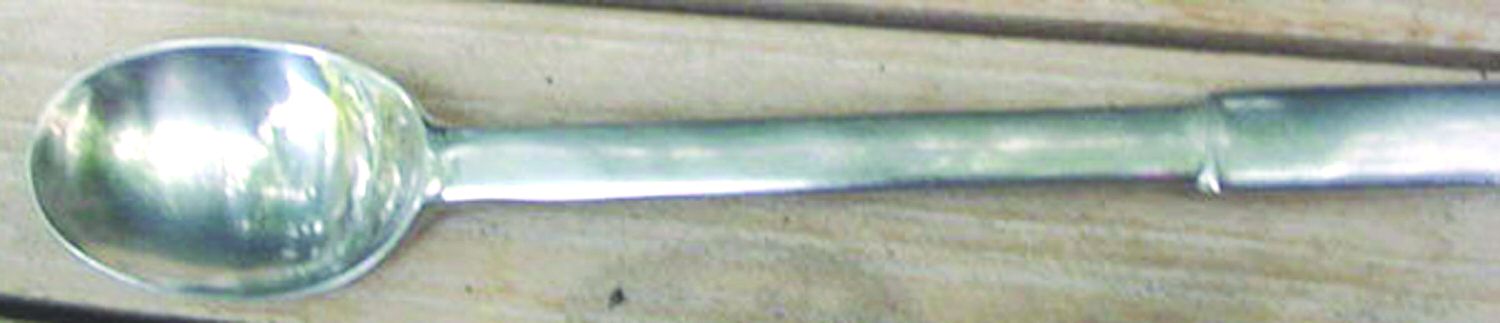 DAS29 (Stainless) Iced Tea Spoon by Dansk-1