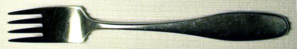 Servus (Stainless) Fork by Danesco-1