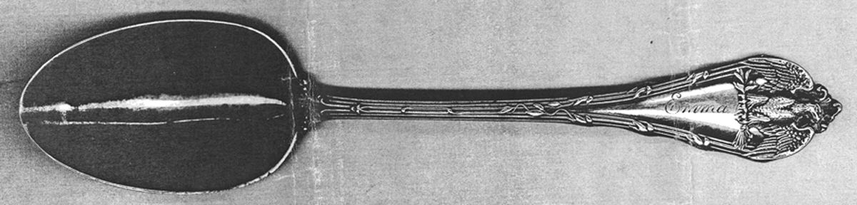National, The (Sterling) Tablespoon (Serving Spoon) by Durgin-1