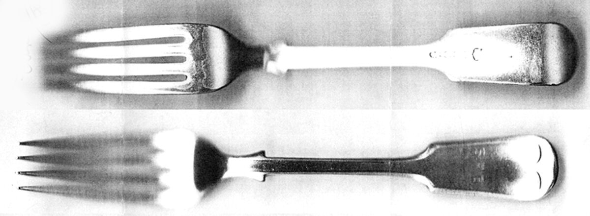 DLA1 (Silverplate) Fork by Daniel & Arter-1