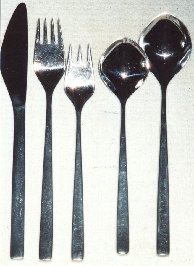 DAS41 (Stainless) Fork by Dansk-1