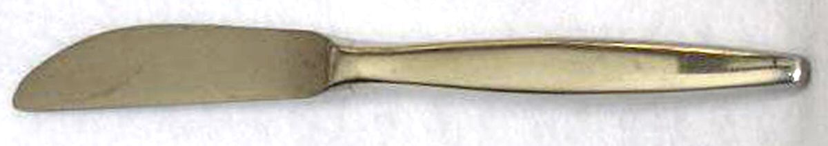 DLI22 (Stainless) Hollow Handle Butter Spreader by Dalia-1
