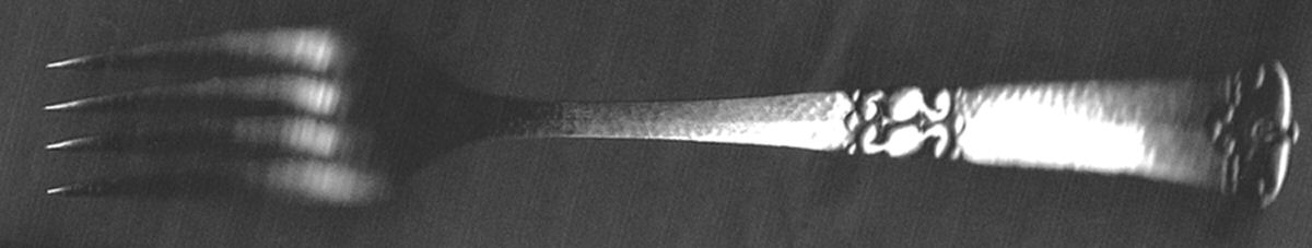 DNS6 (Stainless) Individual Salad Fork by Dana Stainless-1