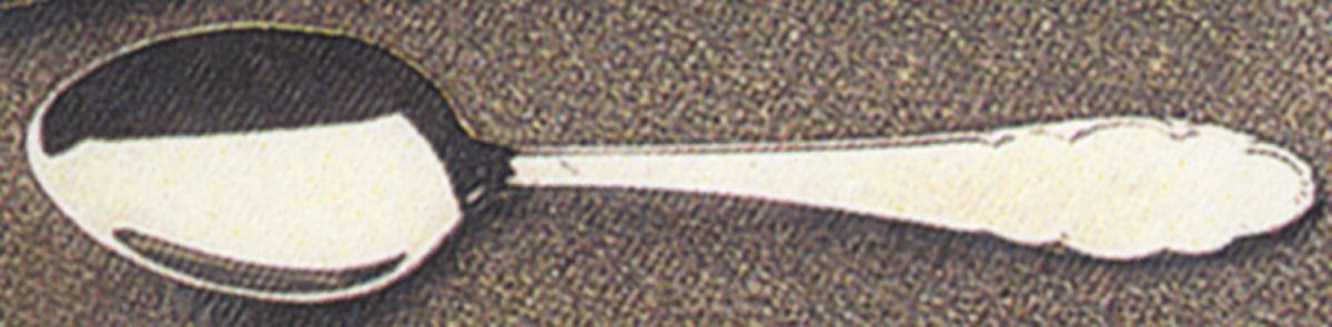 Cordoba (Stainless) Teaspoon by Dalia-1
