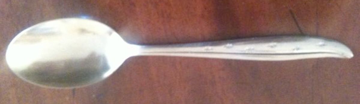 DIX12 (Stainless) Teaspoon by Dixon Steel Smith-1