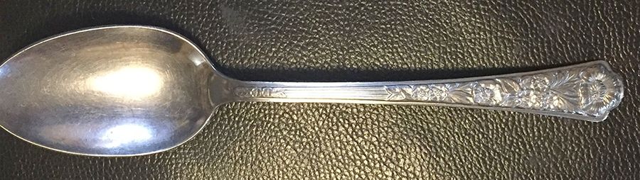 D1B1 (Stainless) Teaspoon by Debut Stainless-1