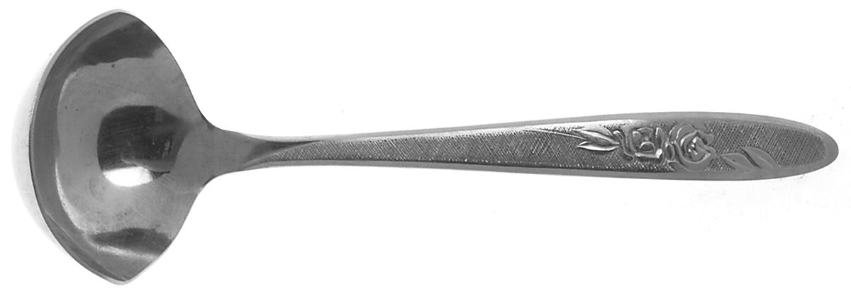Carolyn (Stainless) Solid Gravy Ladle by Ekco Silver-1
