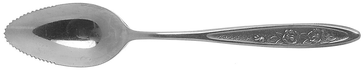 Country Garden (Stainless) Fruit/Orange Spoon by Ekco Silver-1