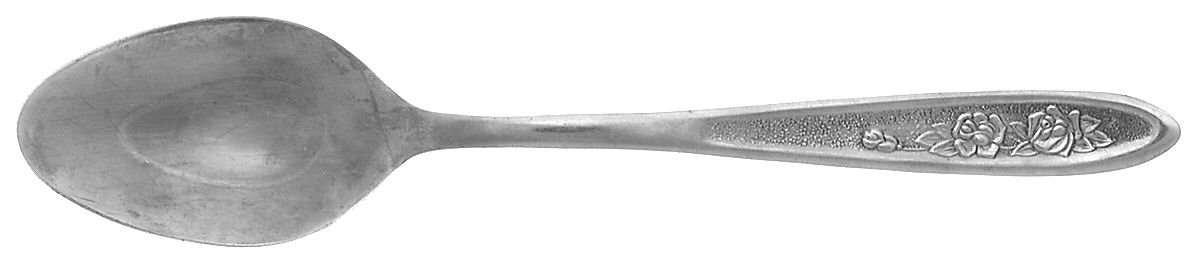 Country Garden (Stainless) Tablespoon (Serving Spoon) by Ekco Silver-1
