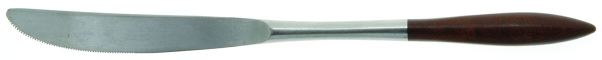 EKS10 (STAINLESS) Modern Solid Knife by Ekco Silver-1