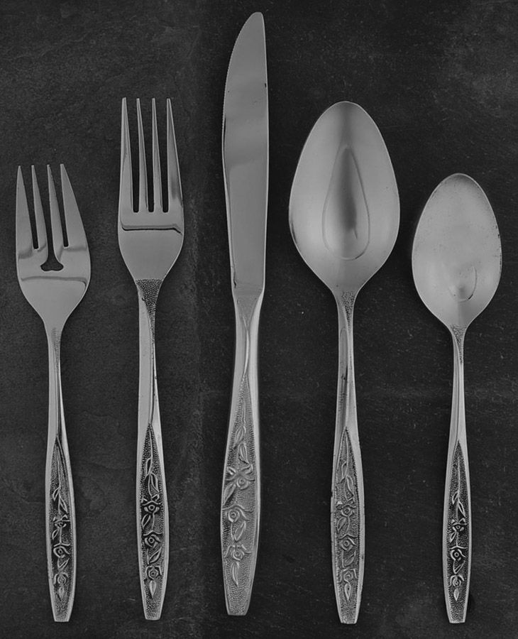 Rose Cotillion (Stainless) 5 Piece Place Setting by Ekco Silver-1