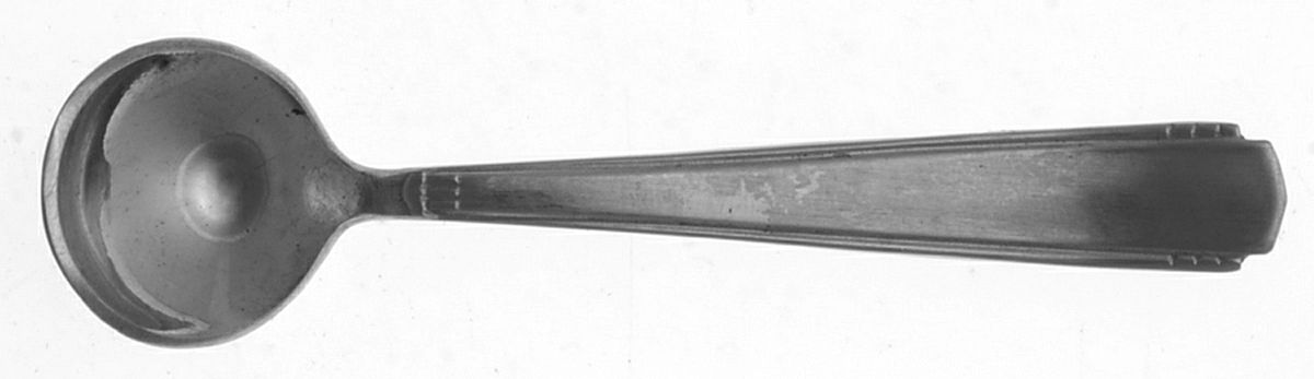 Lady Wilhelmina (Stainless) Master Salt Spoon by Ekco Silver-1