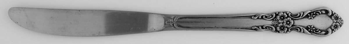 Mary Graham (Stainless) Modern Solid Knife by Ekco Silver-1