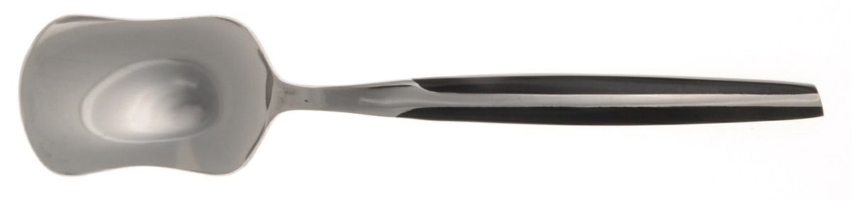 ELD2-BLACK (STAINLESS) Ice Cream Spoon Individual by Eldan-1