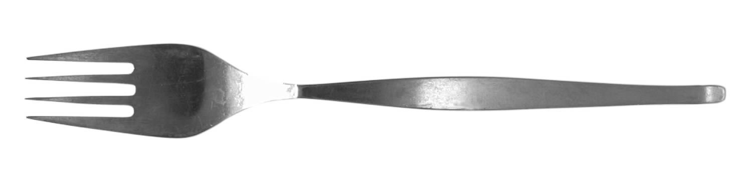 ELD8 (STAINLESS) Fork by Eldan-1