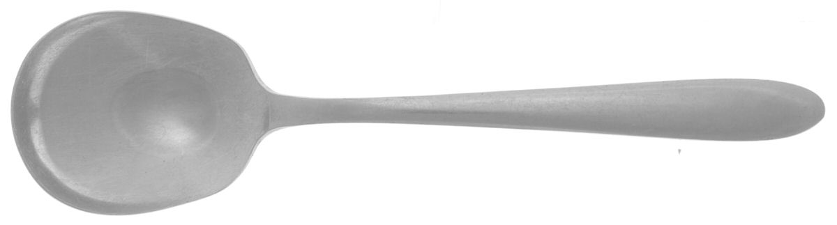 EMS4 (STAINLESS) Sugar Spoon by Empress-1