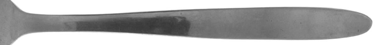 ENS2 (STNLS) Fork by Englishtown Crafts-1