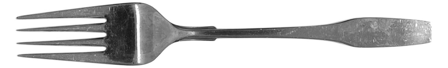 EPS8 (STAINLESS) JAPAN Fork by Epic Silver-1