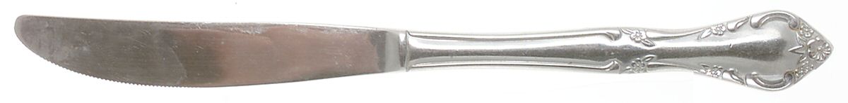 Cascade (Stainless) Modern Solid Knife by Estia-1