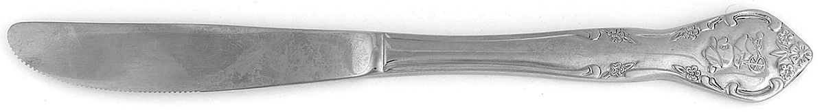 Cascade (Stainless) Youth Knife, Solid Piece by Estia-1