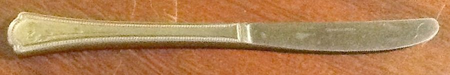 Rosette (Stainless) Modern Solid Knife by Estia-1