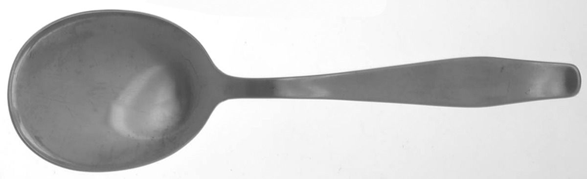 ESM2 (STAINLESS) Solid Smooth Casserole Spoon by ESM Stainless-1