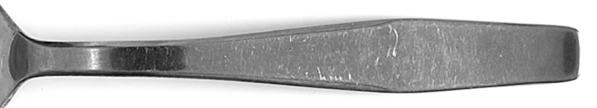 ESM3 (Stainless) Tablespoon (Serving Spoon) by ESM Stainless-1