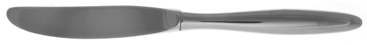 Rhineland (Stainless) Modern Hollow Butter Spreader (Stainless) by Easterling-1
