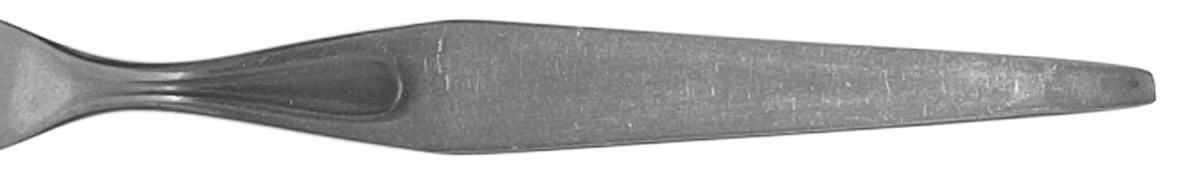 EVS11 (STAINLESS) Fork by Everbrite Stainless-1
