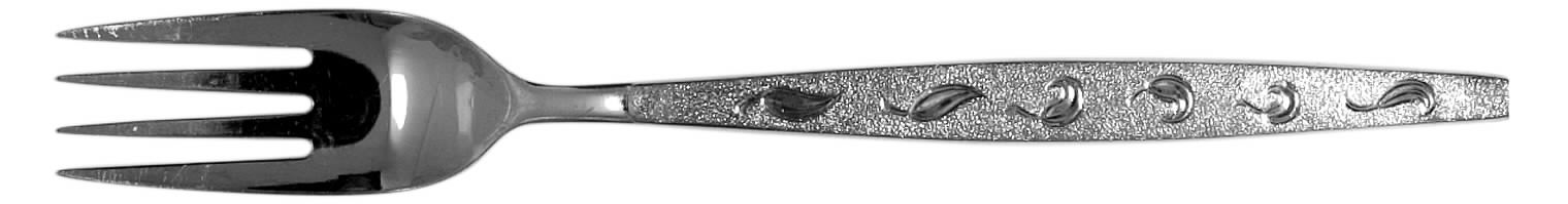 EVS13 (Stainless) Fork by Everbrite Stainless-1