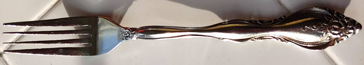 EVS15 (STAINLESS) Fork by Everbrite Stainless-1