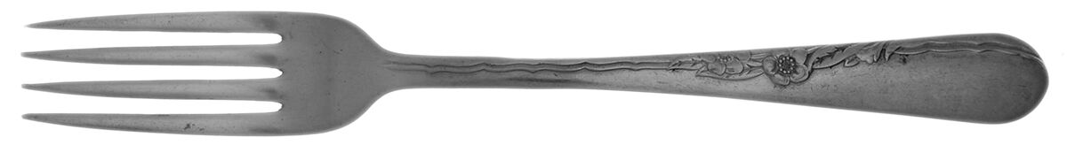 EVS17 (STAINLESS) Fork by Everbrite Stainless-1