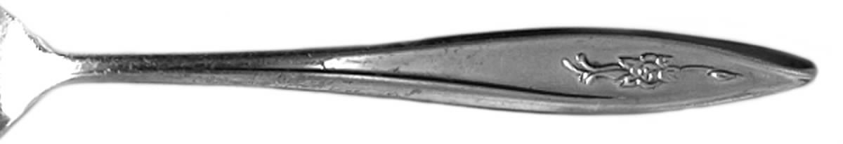 EVS18 (Stainless) Teaspoon by Everbrite Stainless-1