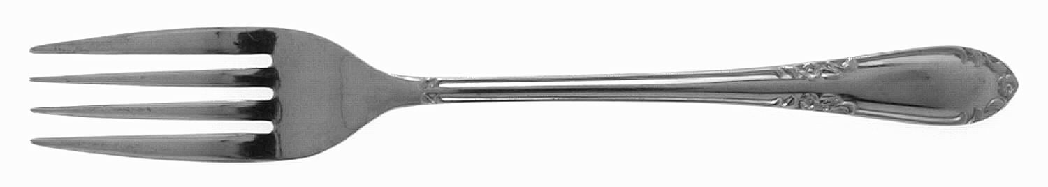 EVS4 (STAINLESS) Fork by Everbrite Stainless-1
