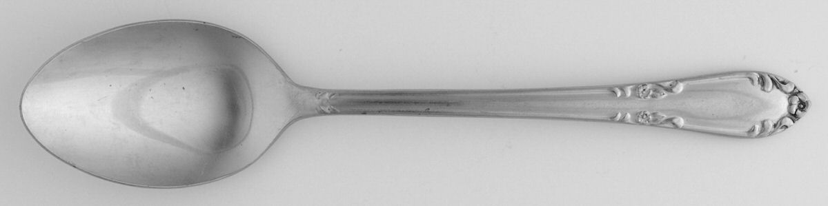 EVS4 (STAINLESS) Teaspoon by Everbrite Stainless-1
