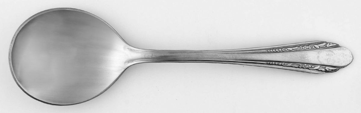 EVS5 (STAINLESS) Sugar Spoon by Everbrite Stainless-1