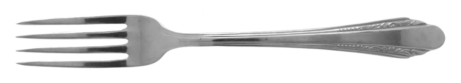 EVS5 (STAINLESS) Fork by Everbrite Stainless-1