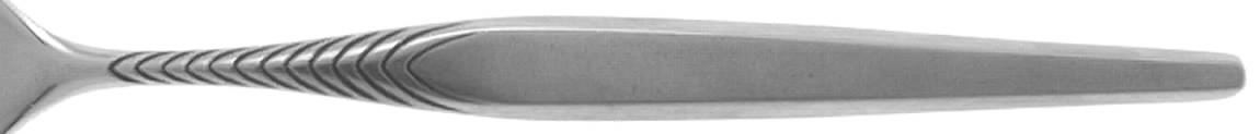 EVS9 (STAINLESS) Fork by Everbrite Stainless-1