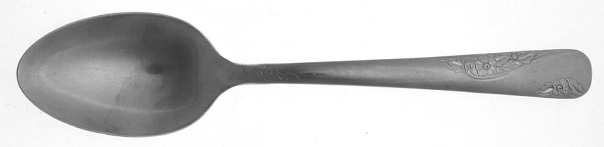 Favorite (Stainless) Place/Oval Soup Spoon by Everbrite Stainless-1