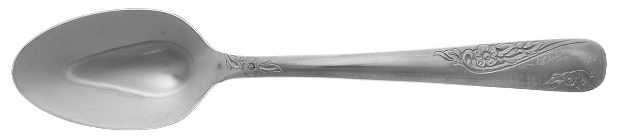 Favorite (Stainless) Teaspoon by Everbrite Stainless-1