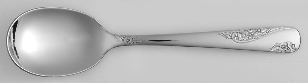 Favorite (Stainless) Sugar Spoon by Everbrite Stainless-1