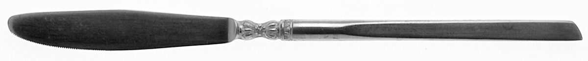 Perfection (Stainless) Modern Solid Knife by Everbrite Stainless-1