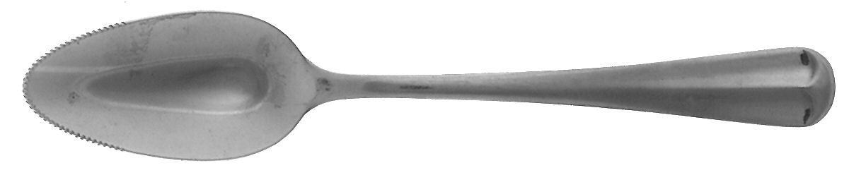 Brookfield (Stainless) Fruit/Orange Spoon by Excel-1