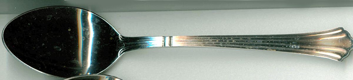 EXF5 (STAINLESS) Tablespoon (Serving Spoon) by Excel-1