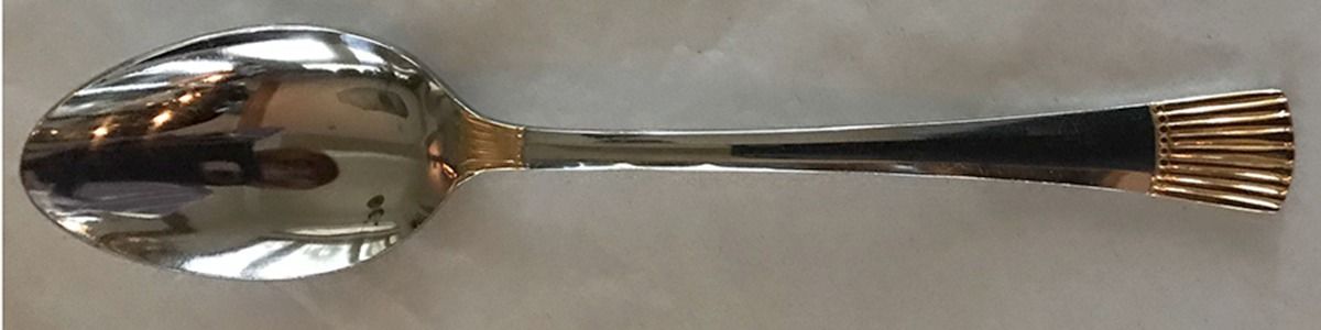EXF9 (Stainless, Gold Accent) Place/Oval Soup Spoon by Excel-1